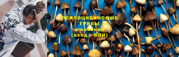 ECSTASY Бугульма
